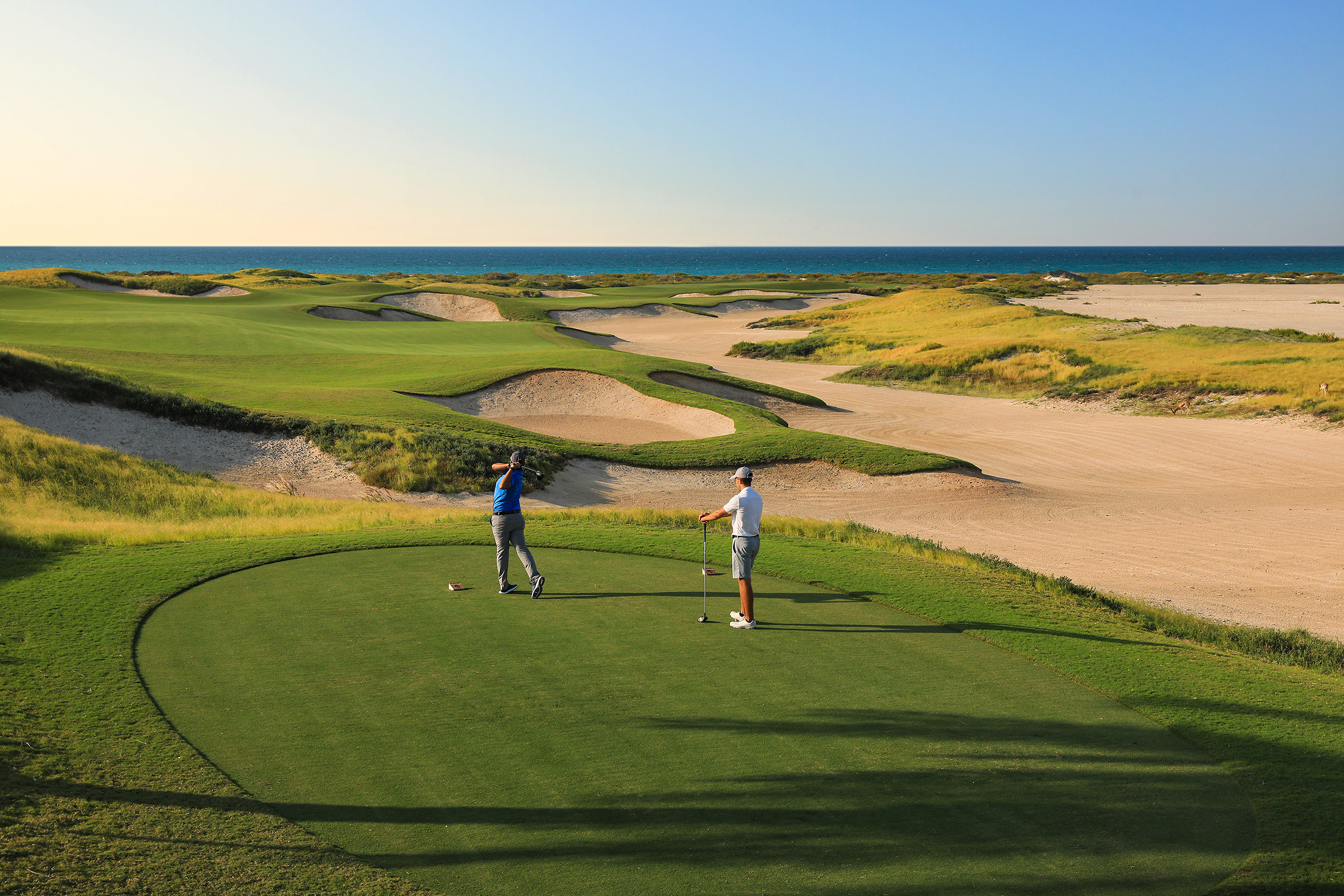 Saadiyat 16Th 9003 Web