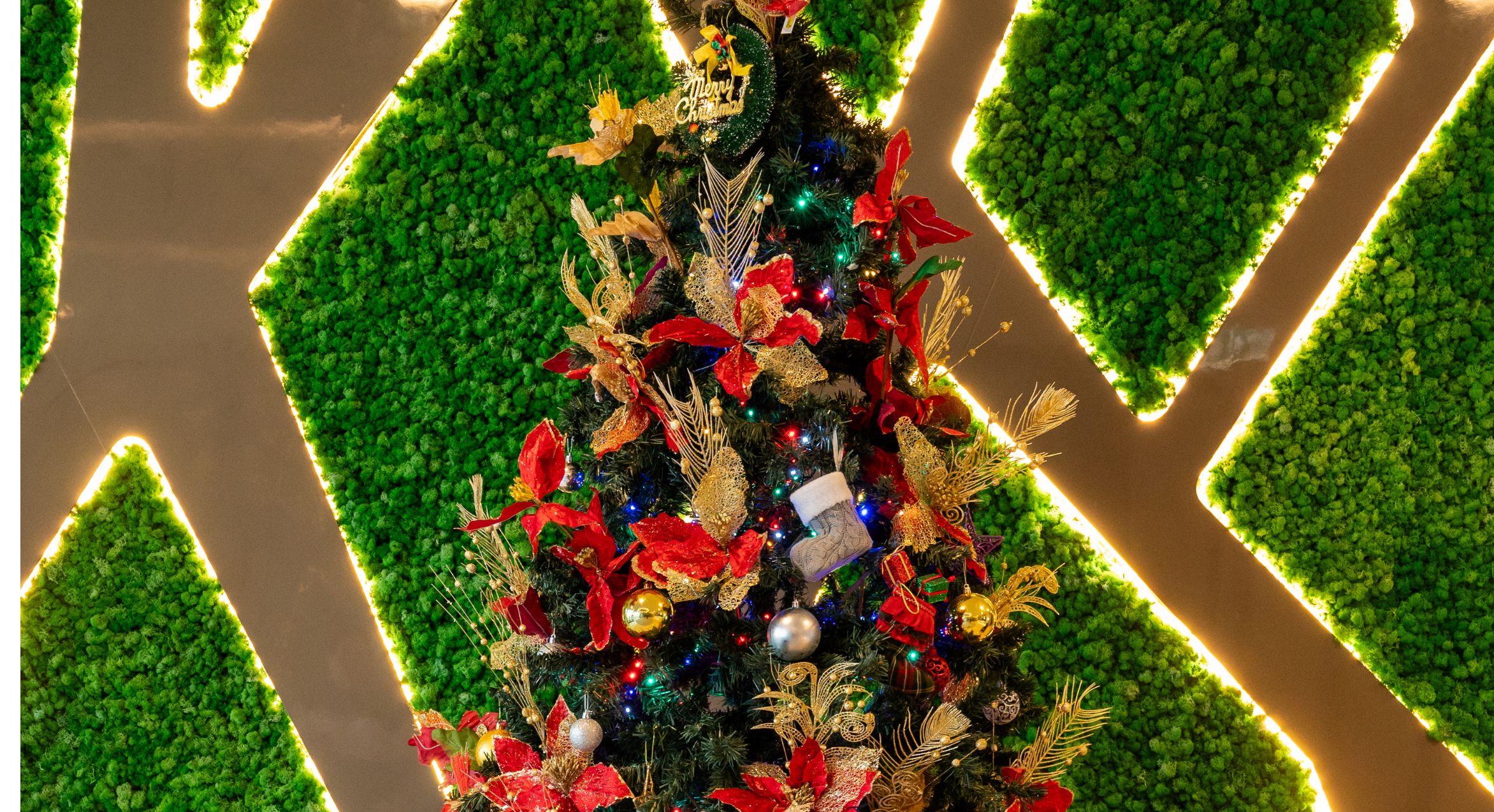 Untitled Design 2025 09 01T190502.789 (1)