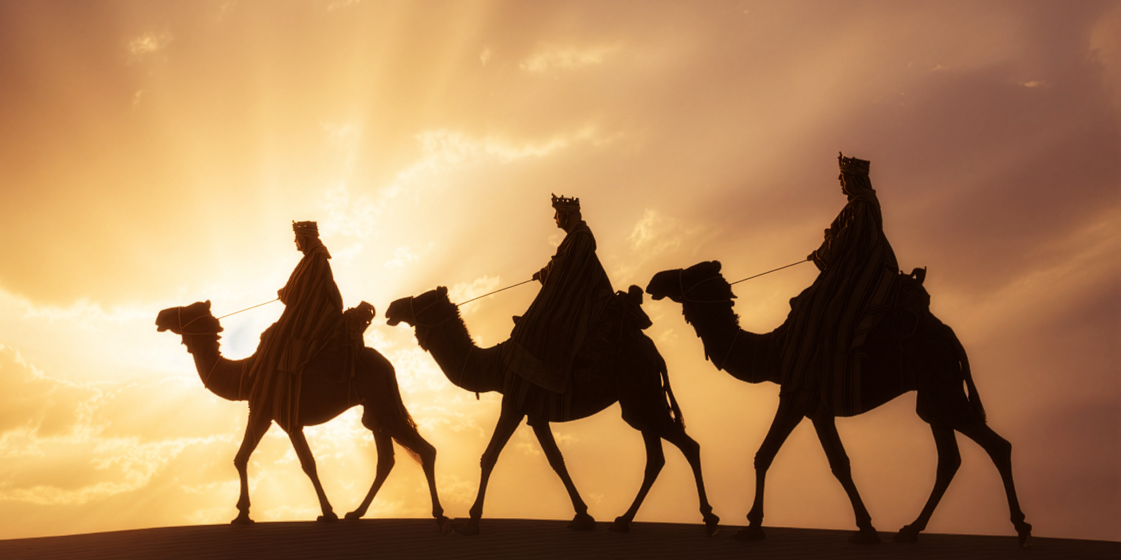 YLAD Three Kings Banner